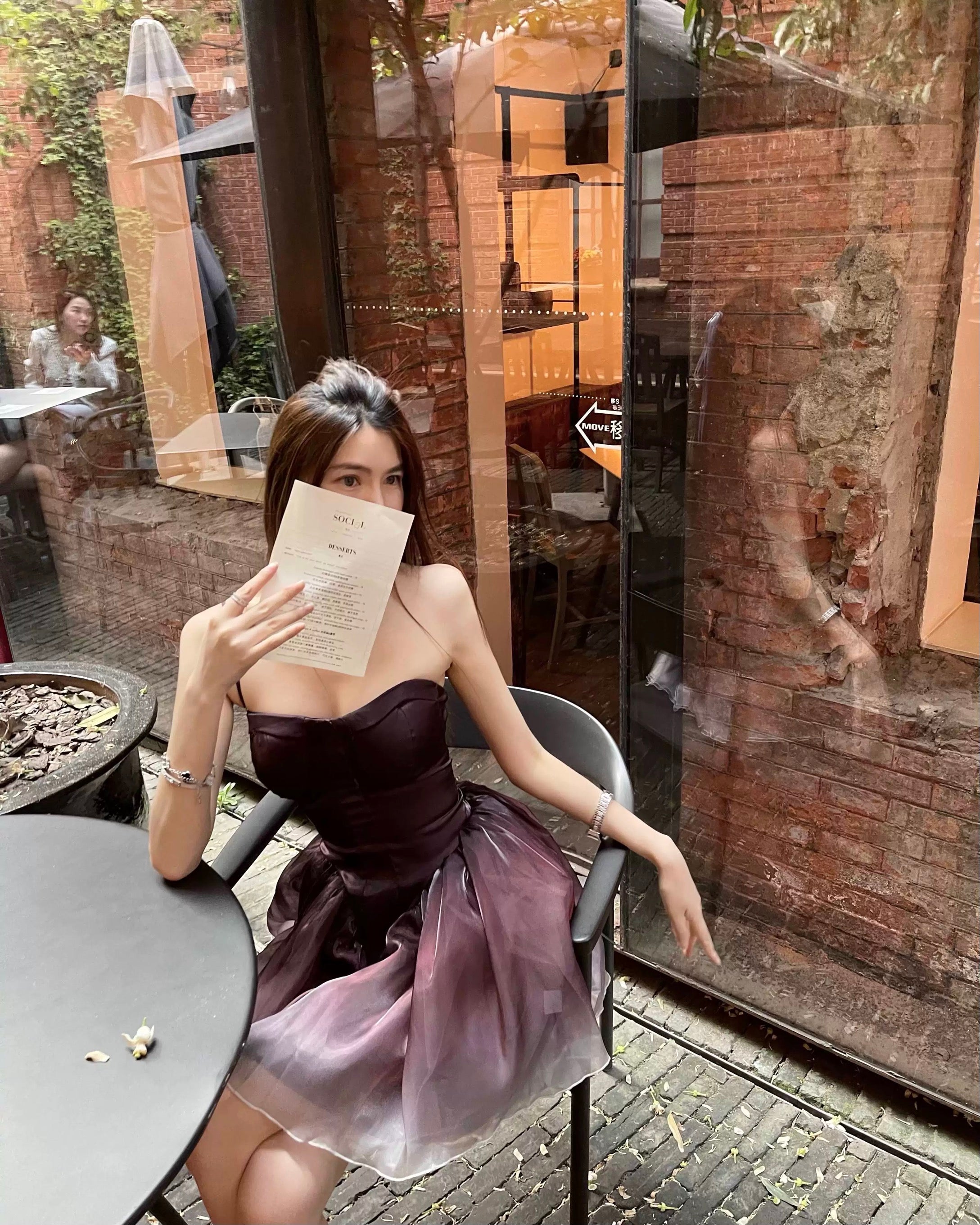 八音盒/🦢Black Swan Ombré Dress