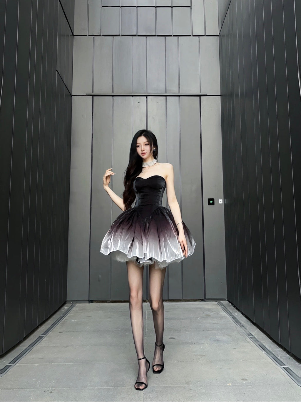 八音盒/🦢Black Swan Ombré Dress