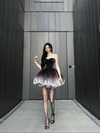Black Swan Ombré Dress - close-up