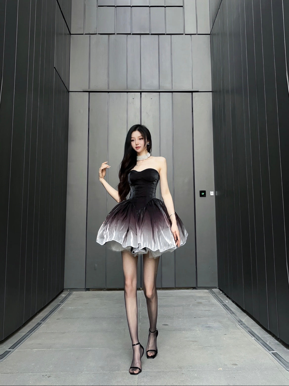 八音盒/🦢Black Swan Ombré Dress